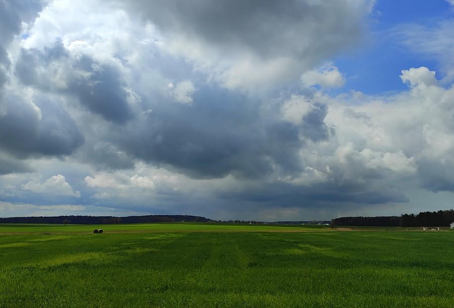 Walka barw nad Lisówkami