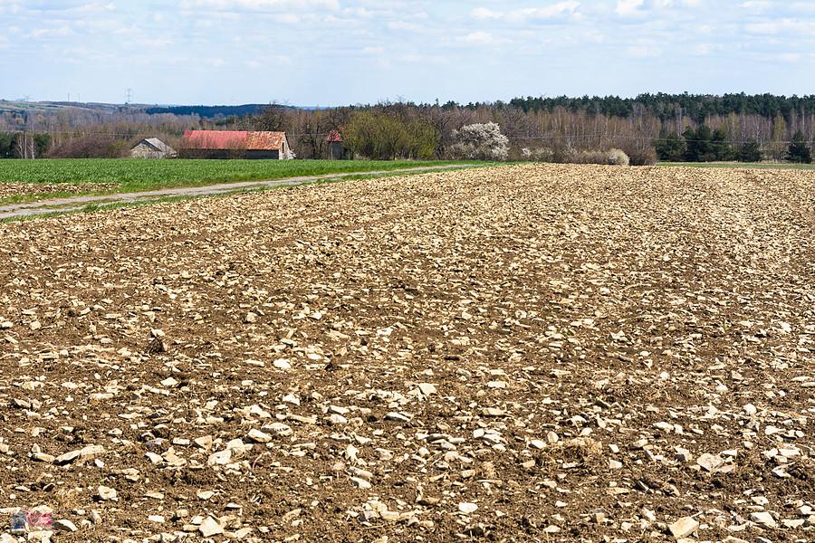 Turów - widok na wschód