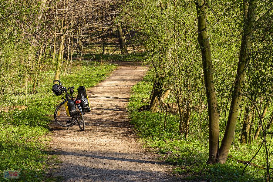 Ścieżka pieszo-rowerowa przez rezerwat "Parkowe" w Złotym Potoku