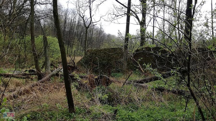 Resztki starego młyna nad Tarczynką, kiedyś tu był waypoint ustawiony przez kolegę Surfa