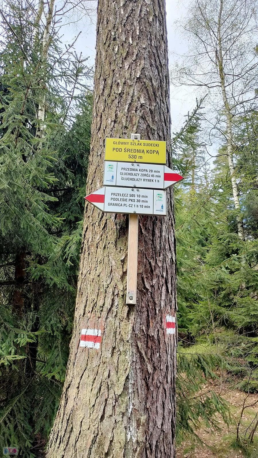 Mijamy średnią kopę