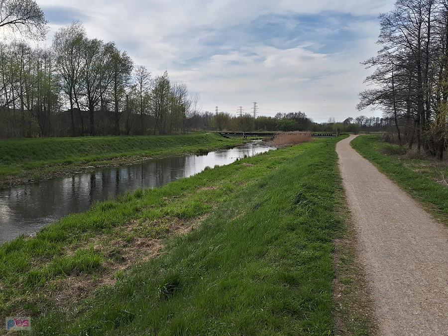 Warta w częstochowskiej dzielnicy Zawodzie-Dąbie