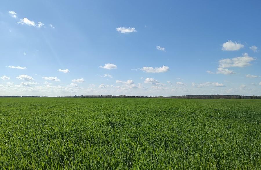 Windows XP - wersja płaska, z Lisówek :)