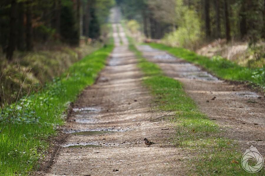 'mamo, wyjde na drogę coś zjeść'