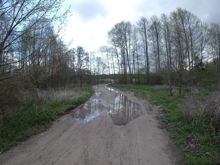 Trochę błotniście