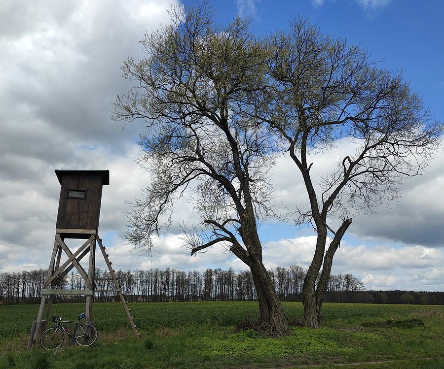 Pod amboną w okolicach Lisówek