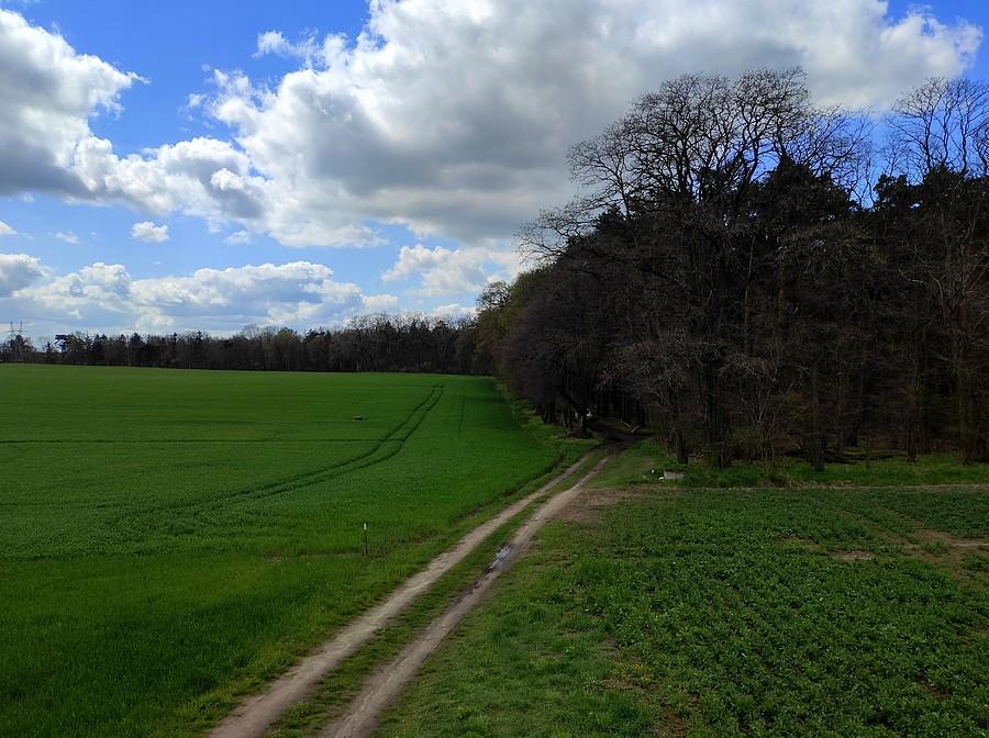 Początek WPN-u w Lisówkach