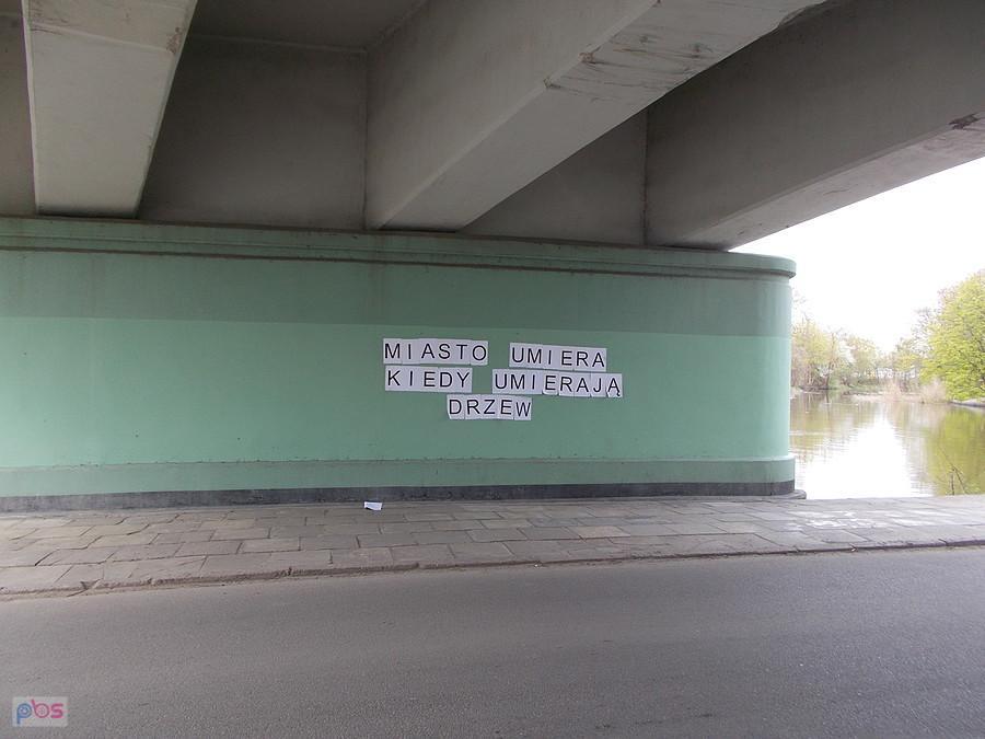 Miasto umiera kiedy umierają drzewa.