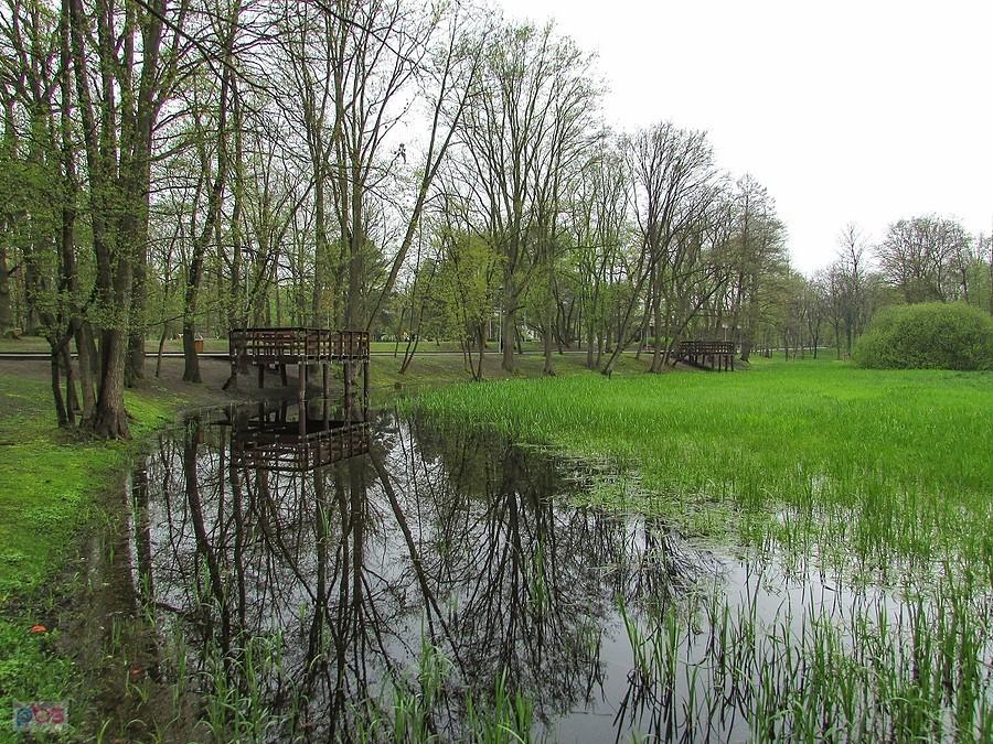 Pomosty nad rozlewiskiem w parku Zdrojowym