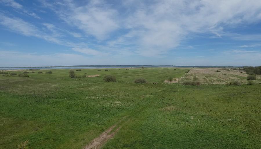 Panorama z wieży widokowej przy Czarnowskiej Górce