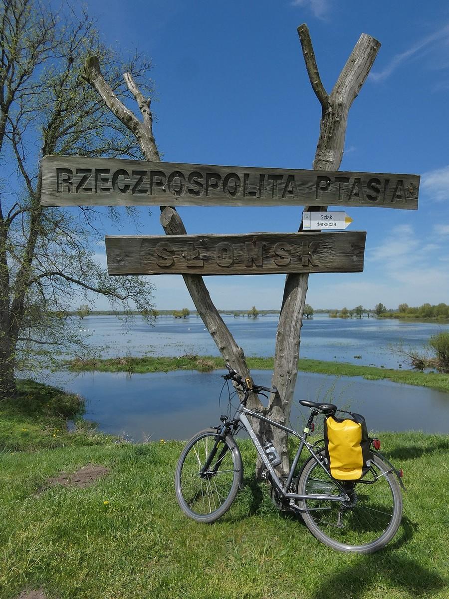 Rzeczpospolita Ptasia - Słońsk