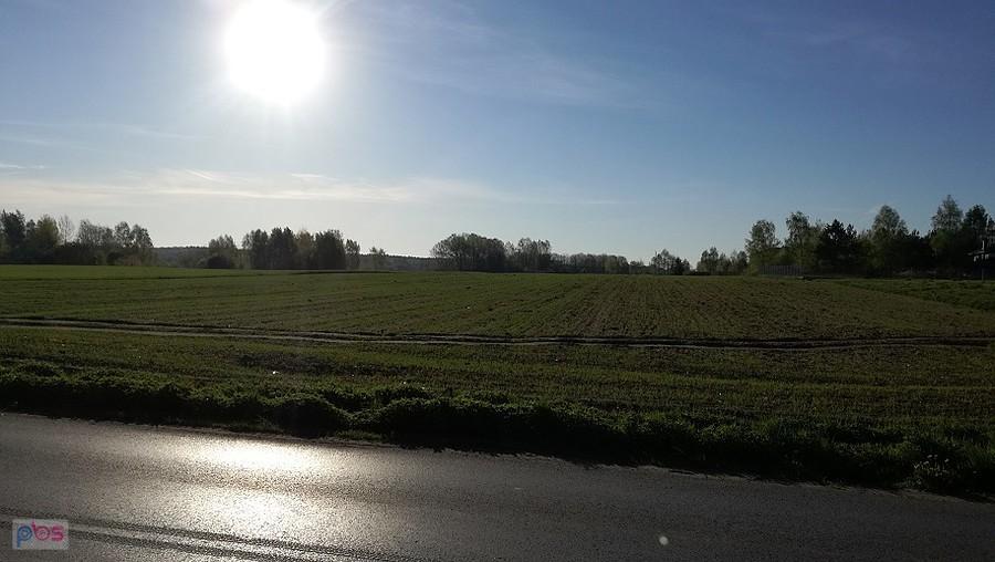 Jak dobrze wstać skoro świt, jutrzenki blask duszkiem pić...