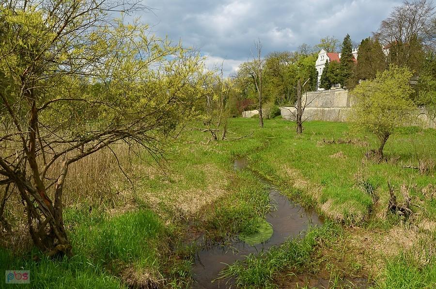 Rogów Opolski