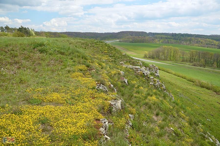 Rezerwat Ligota