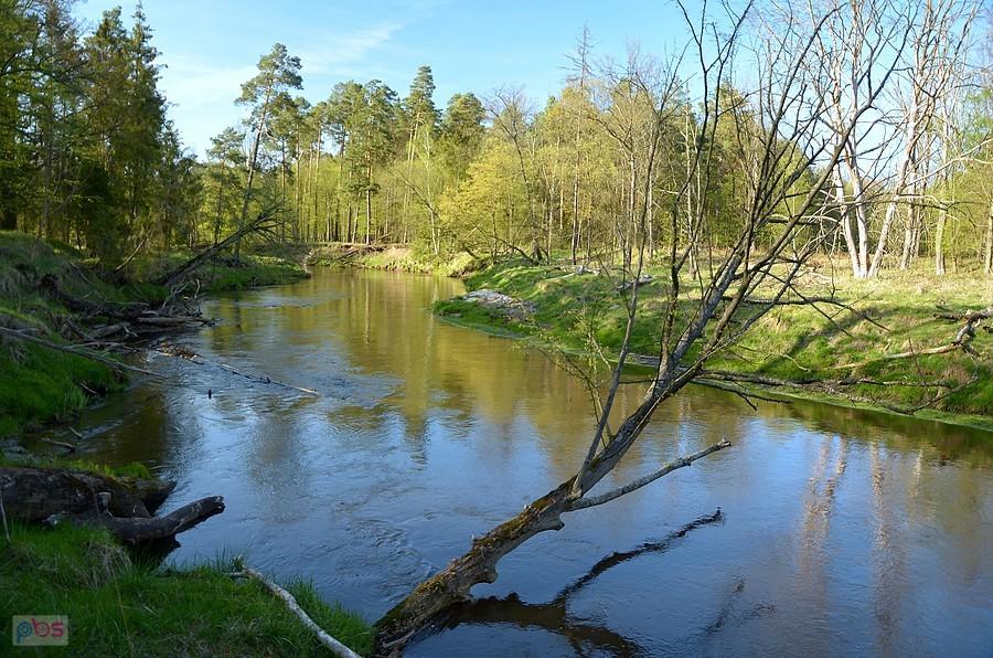 Mała Panew
