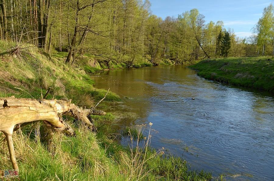 Mała Panew