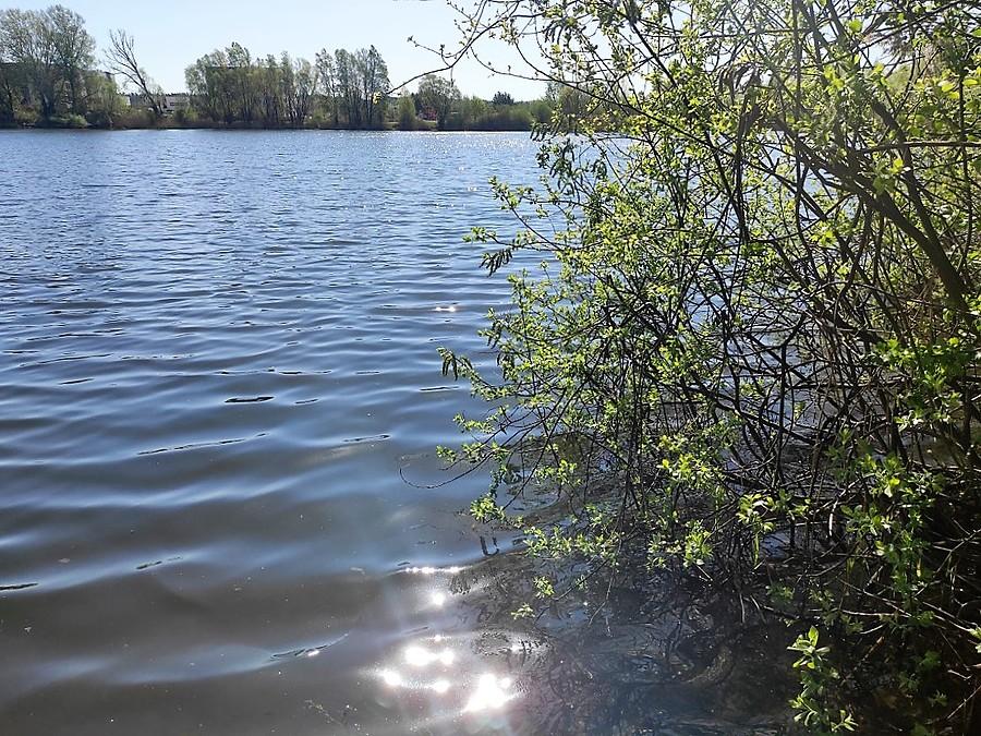 Słońce odbijające się nad Jeziorkiem Koninko