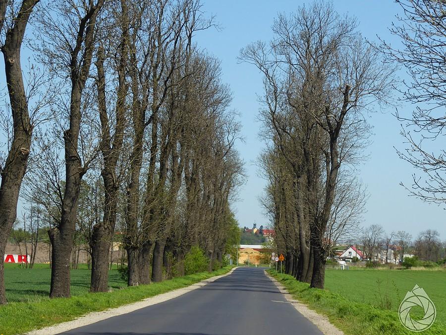 prosto na Gostyń