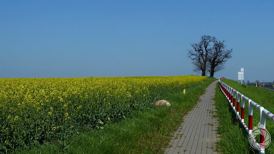 na górce nad Dolskiem