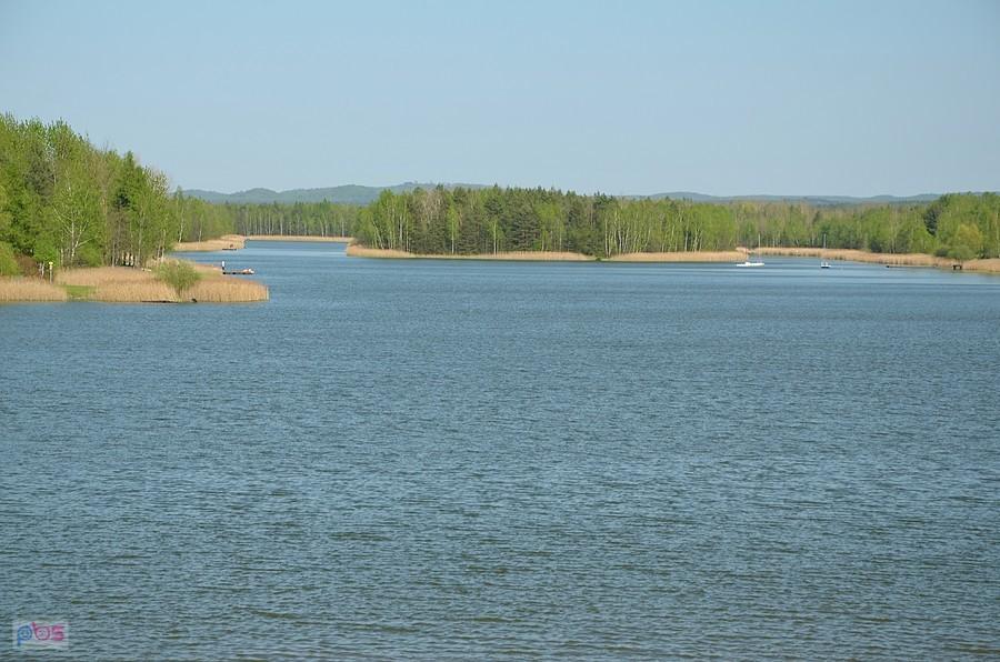 Jaworznickie Mazury - Sosina
