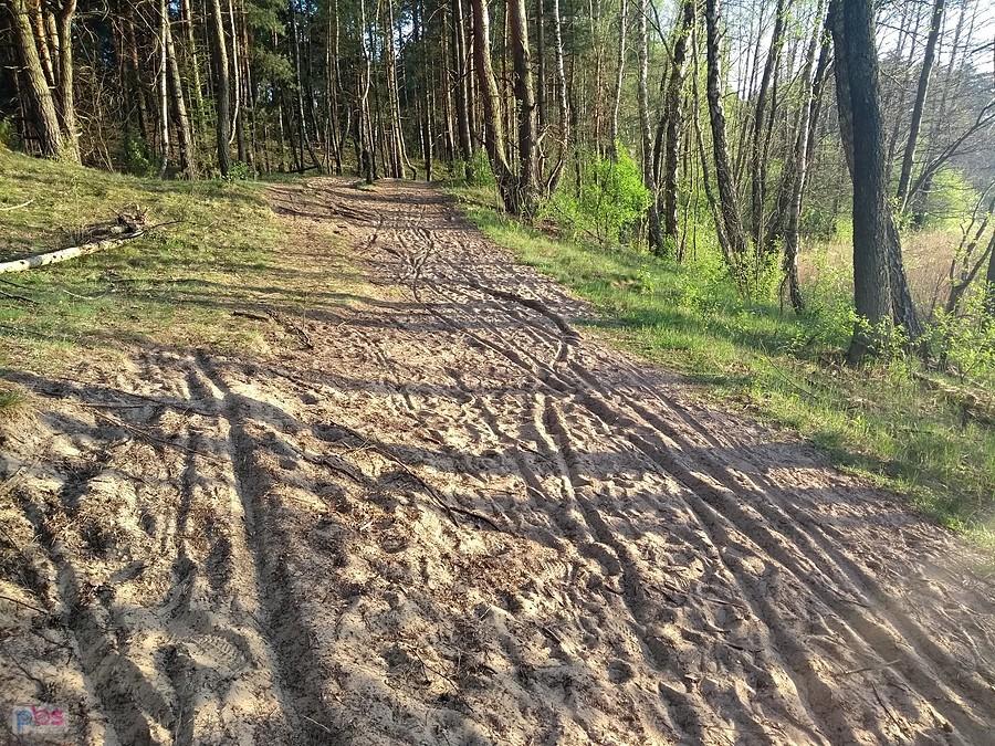 Piachy Lasów Błędowskich