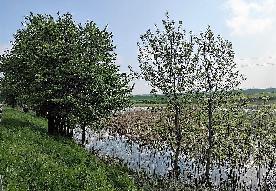 Klimatyczne rozlewisko
