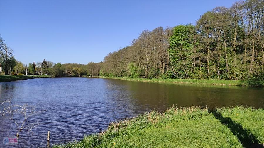 Dobieszków i staw przy Rezerwacie Struga Dobieszkowska