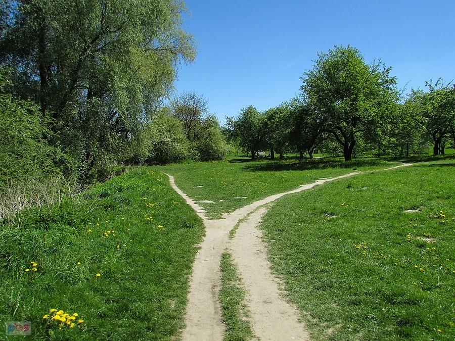 Rowerowe eko ściezki
