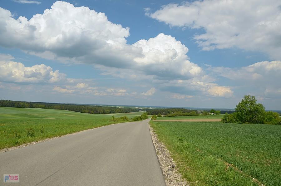Kierunek Szczekociny