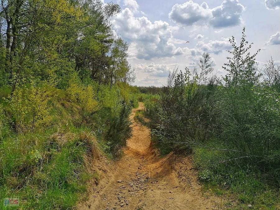 Do piaskowni w Zbrosławicach
