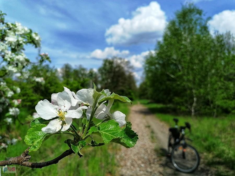 Śladem linii 178