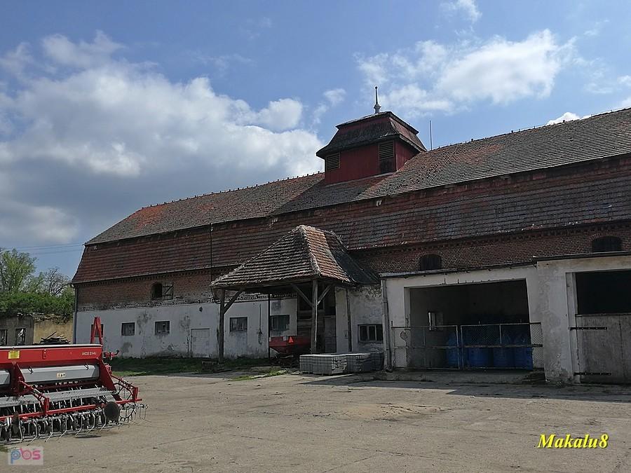 Pieski