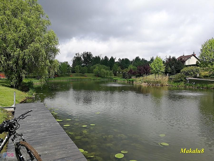 Chorzów, staw Amelung