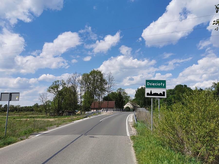 Dzięcioł w drzewo pukał...