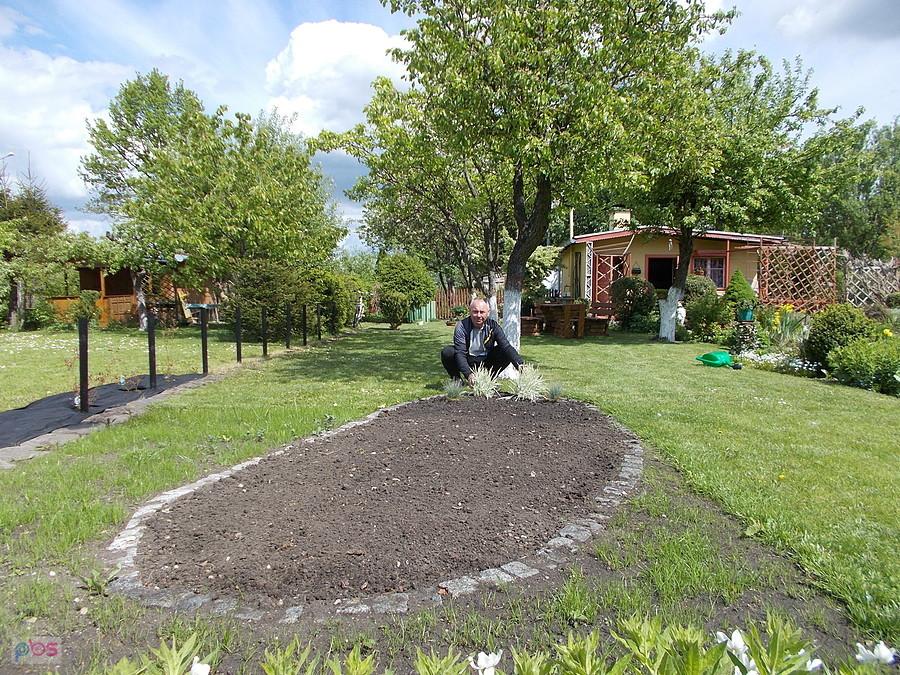 Działka Dareckiego