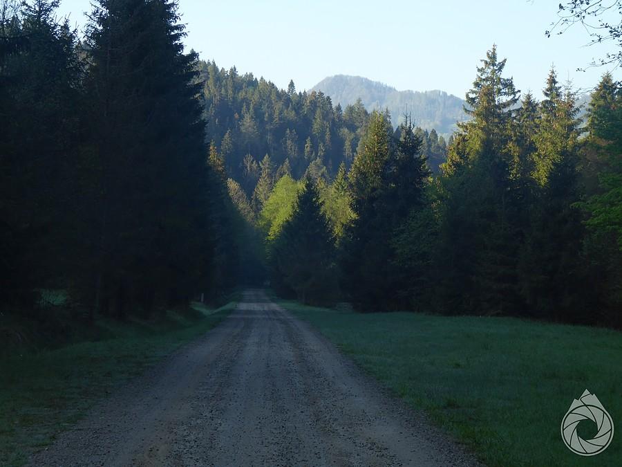 poranny zjazd do Czarnej Wody z Wysoką w tle