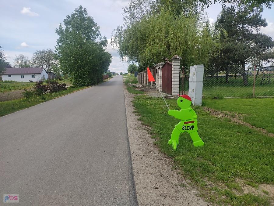 Cała ulica była "usłana" tymi żółwiami :D