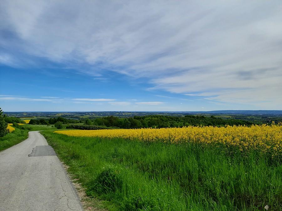 Z Niechobrza, na Rzeszów.