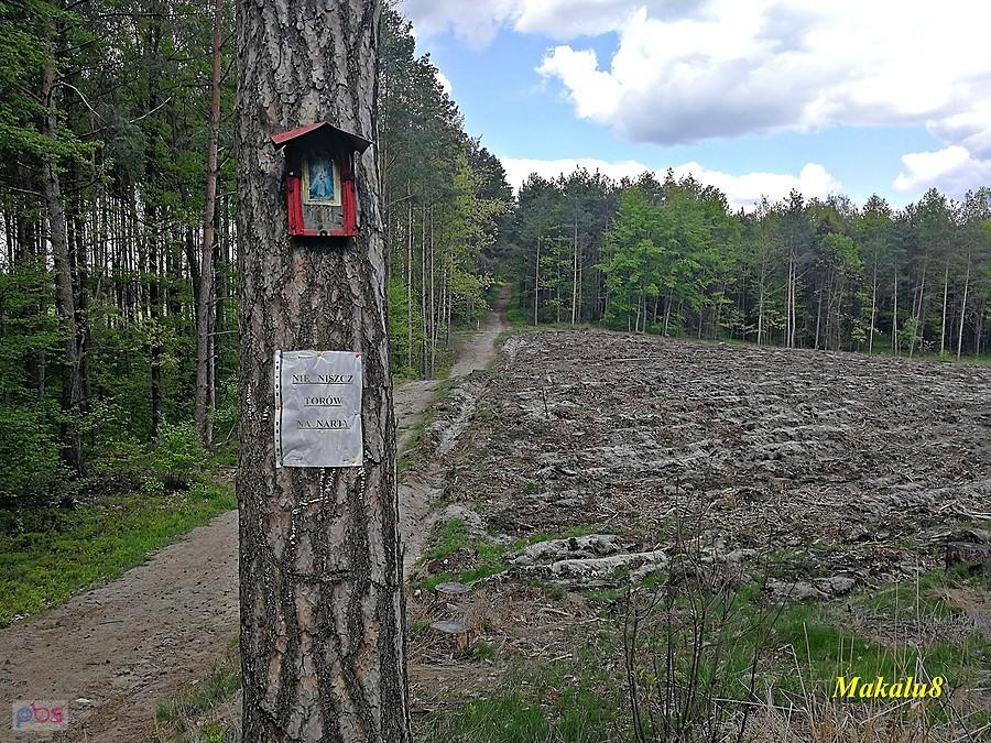 Nie niszcz torów na narty.