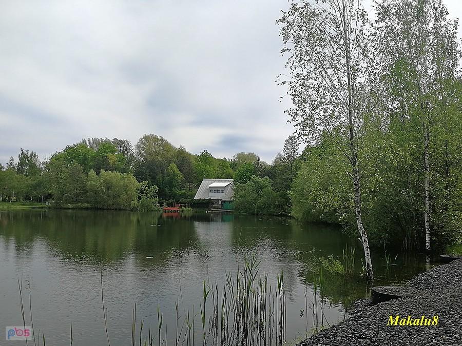 Stawy w Miechowicach