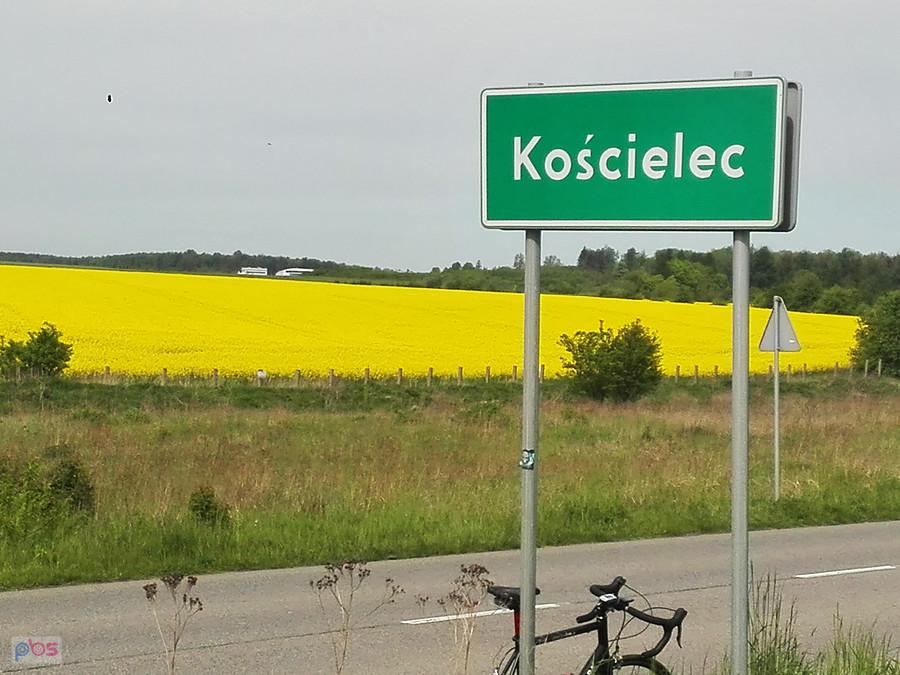 Lotnisko tonie w rzepaku