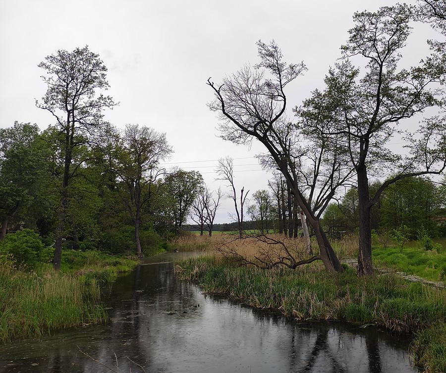Kanałek w Trzcielinie