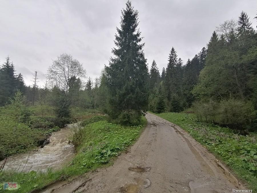 Z Łapsz Niżnych w kierunku Pieskowego Wierchu.
