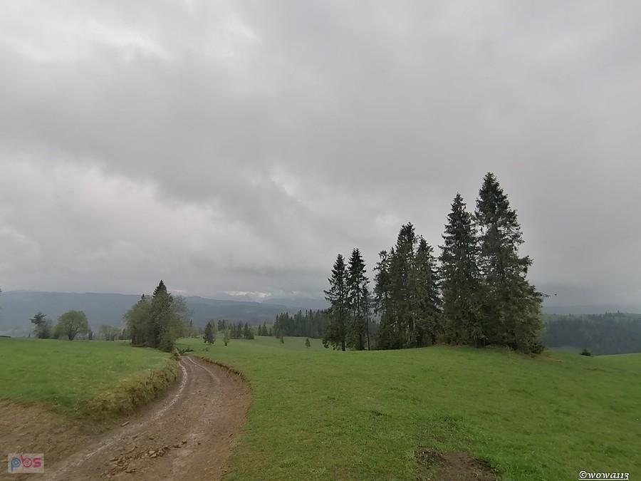 Hale pod Holowiecem