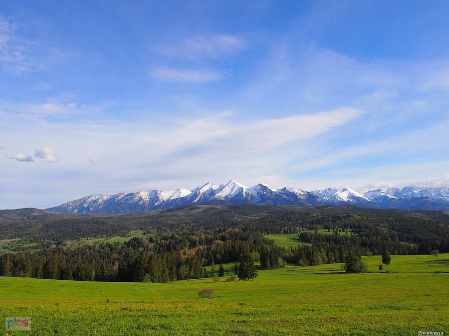 Tatry z przełęczy Łapszanka