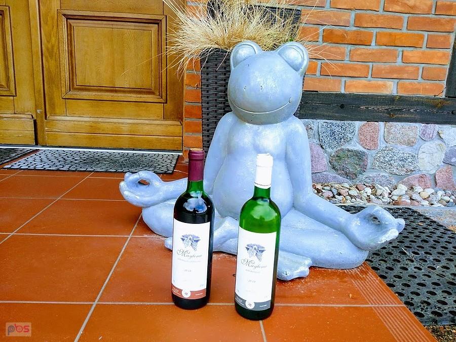Winnica Żabi Raj