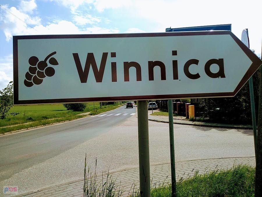 Kierunek winnica