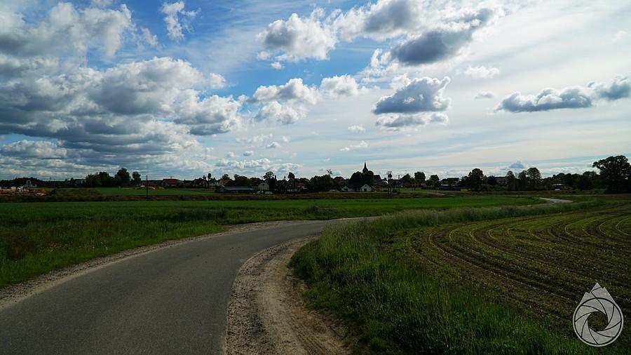 poranne drogi w stronę lasów pszczyńskich