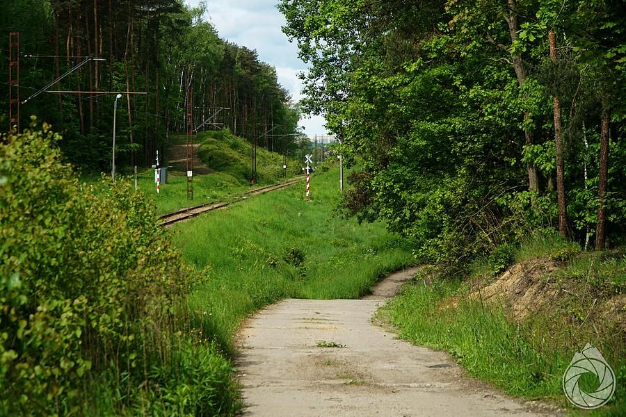 ukryte ścieżki przy torowiskach