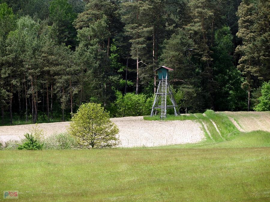 Ambona myśliwska spod Pampow.
